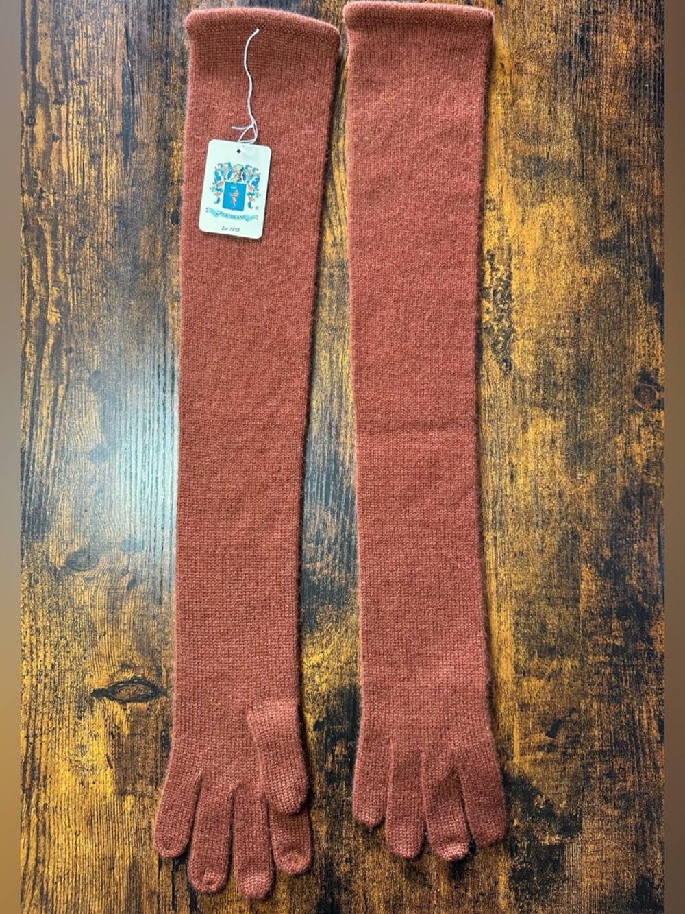 Pure Cashmere Long Autumn Gloves